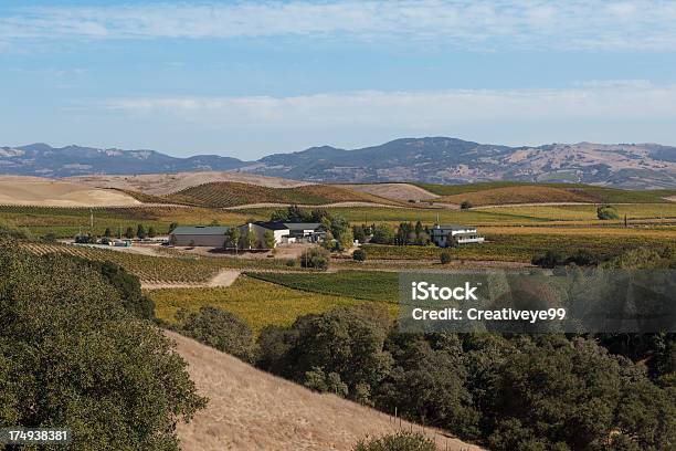 Paisagem Do Vale De Napa - Fotografias de stock e mais imagens de Casa de Quinta - Casa de Quinta, Agricultura, Ao Ar Livre