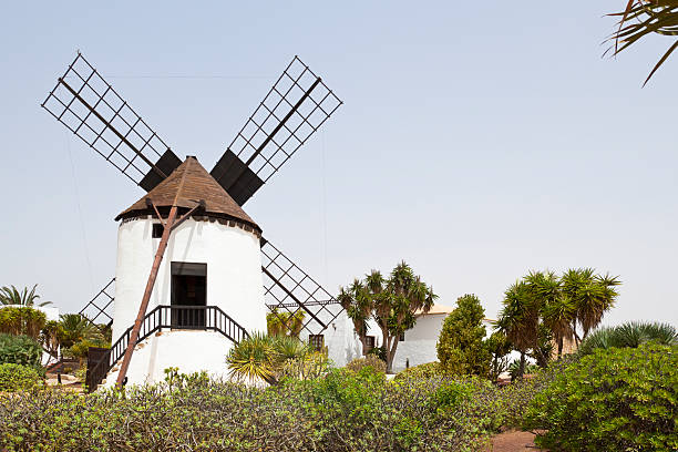 istock Molino De Antigua, Fuerteventura 174938569