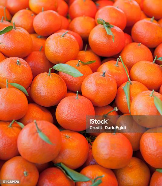 Пищи Фрукты Оранжевый — стоковые фотографии и другие картинки Апельсиновое дерево - Апельсиновое дерево, Без людей, Вертикальный