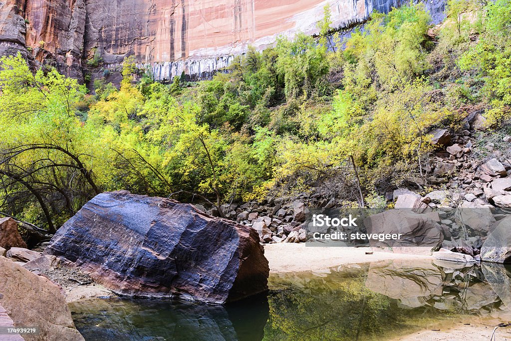 Upper Emerald Pool, Parc National de Zion - Photo de Automne libre de droits