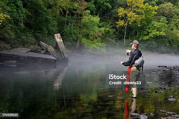 Fly Fisherman Stockfoto und mehr Bilder von Arkansas - Arkansas, Fischen, Pensionierung