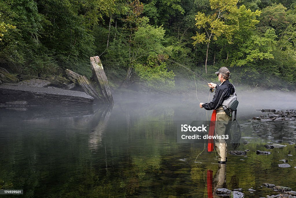 Fly pescatore - Foto stock royalty-free di Arkansas