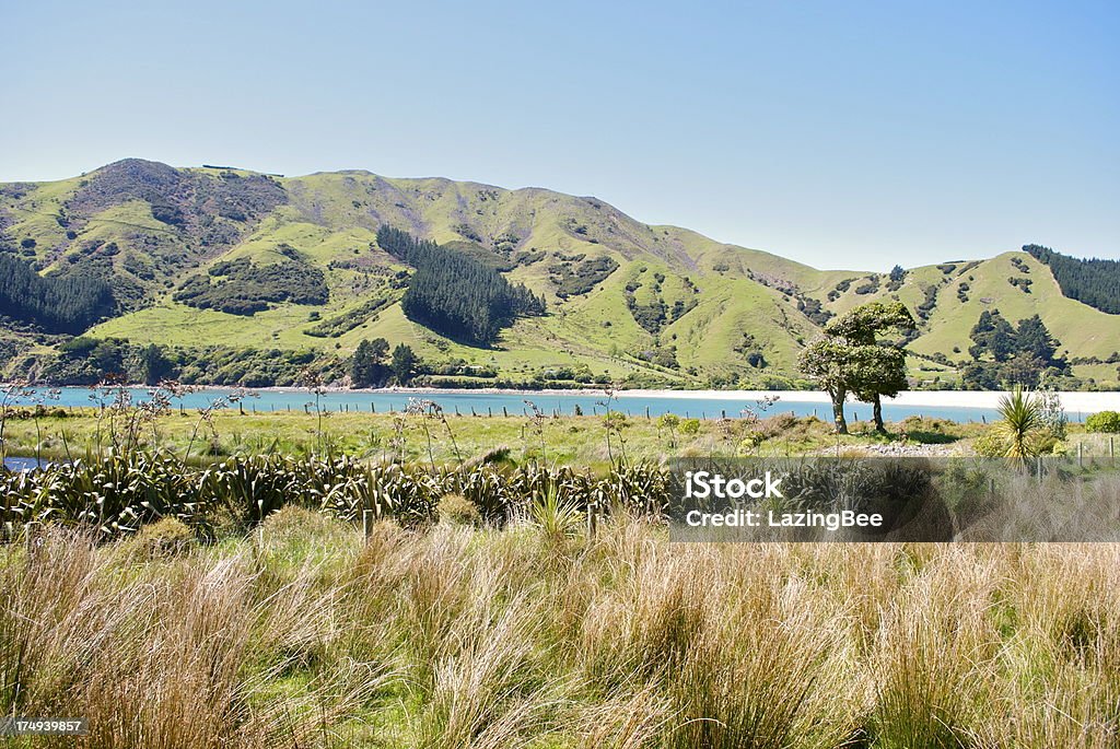 Cable Bay, Nelson, Nueva Zelanda - Foto de stock de Agua libre de derechos