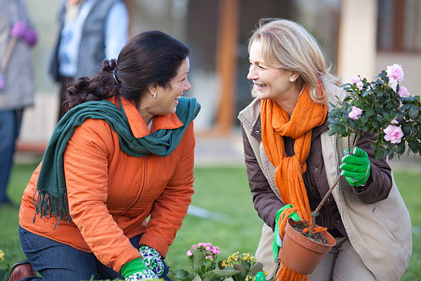 istock Two mature women potting plants 174939891