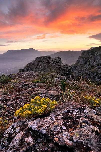 яркие закат пейзаж в горах - spring mountain demergi flower стоковые фото и изображения