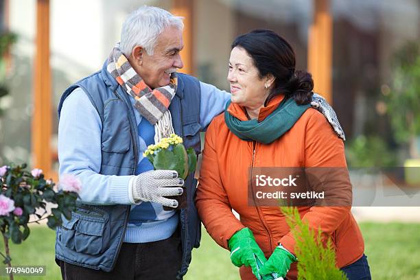 ガーデンます - 2人のストックフォトや画像を多数ご用意 - 2人, 60-64歳, Green Thumb 英語の慣用句