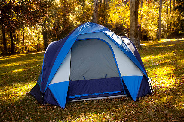 istock Tent set up in woods 174940502