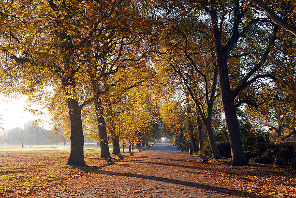Autumn in London