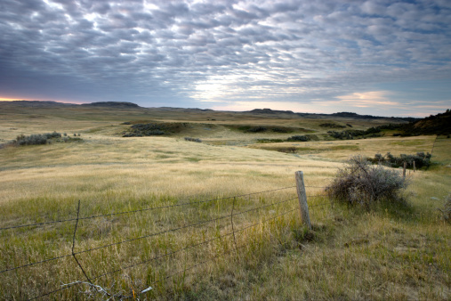 The expansive prairie of the Great Plains of North America. North Dakota.