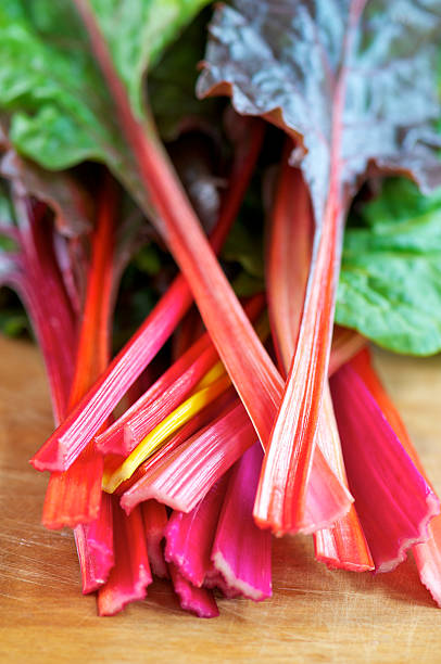istock Vertical Shot of Rainbow Swiss Chard 174941108