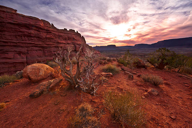 istock Western Desert Landscape Sunset 174941148