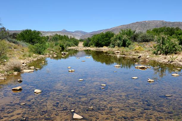 istock Swart River in dry Karoo wide 174941159