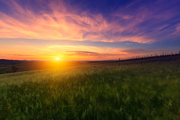 istock Tuscany Landscape 174941213