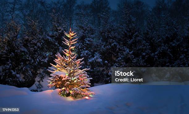 Christmas Tree With Fresh And Fluffy Snow Stock Photo - Download Image Now - Christmas Tree, Outdoors, Snow