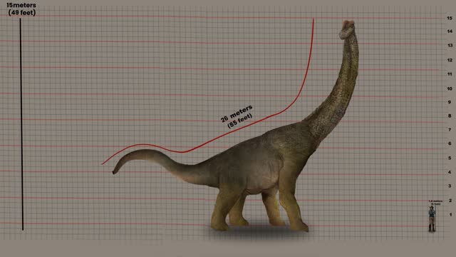 Animated 3D Model Of Brachiosaurus Showing Its Height And Length. animation
