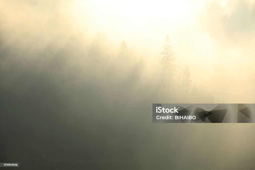 Mistic niebla de la mañana - Foto de stock de Aire libre libre de derechos
