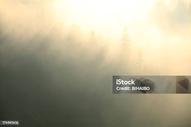 Mistic Niebla De La Mañana Foto de stock y más banco de imágenes de Aire libre - Aire libre, Amanecer, Amarillo - Color