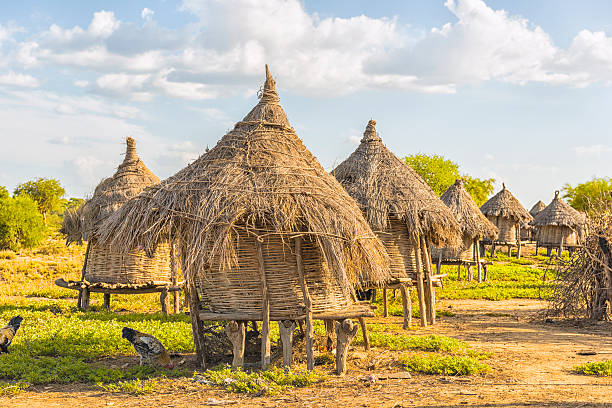 Karo village "6 traditional huts, made of sticks and straw, against blue sky, some grass and dirt path around. Afternoon sunlight, a chicken in front." omo river photos stock pictures, royalty-free photos & images