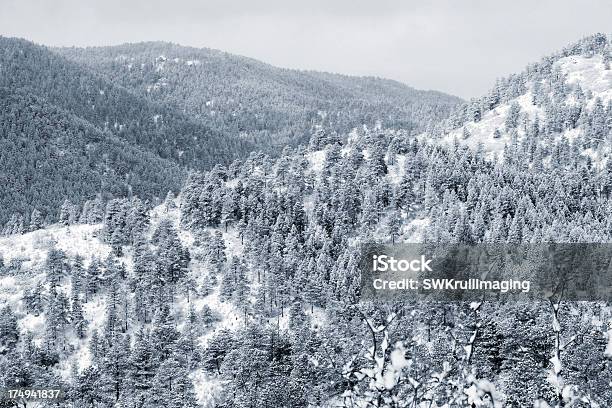 Свежий Снег — стоковые фотографии и другие картинки Без людей - Без людей, Гора, Горизонтальный