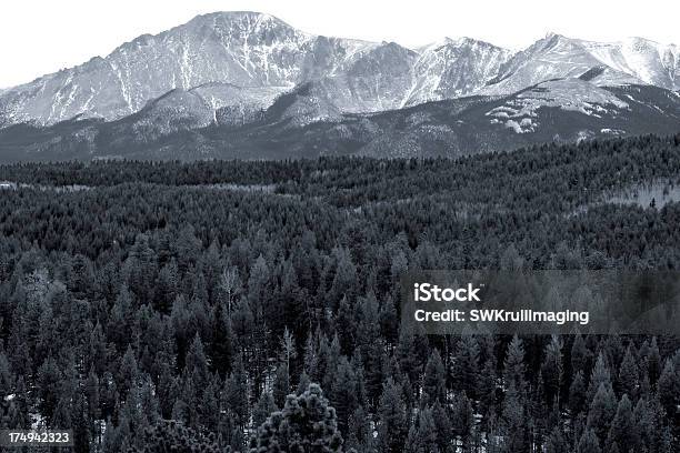 Пайкс Пик От Lovell Кожа Gulch Hiking Trail — стоковые фотографии и другие картинки Национальный лес Пайкс-Пик - Национальный лес Пайкс-Пик, Без людей, Величественный