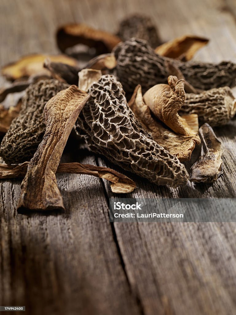 Champignons sauvages - Photo de Morille libre de droits