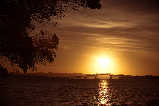 istock Auckland Harbour Bridge on the Sunset 174942401