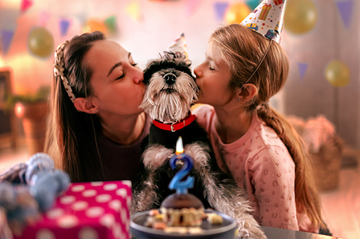 mother and daughter celebrate the birthday of their pet dog