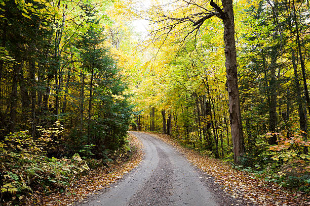 istock Gravel Road in Autumn 174943114