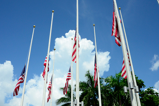 American Flags fly at half mast in observance of September 11.