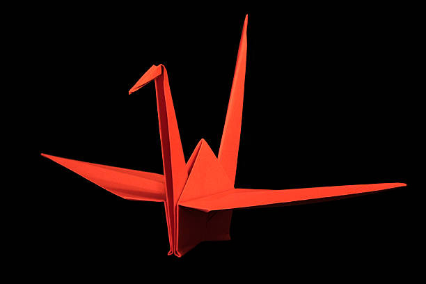 Origami paper cranes isolated on black background