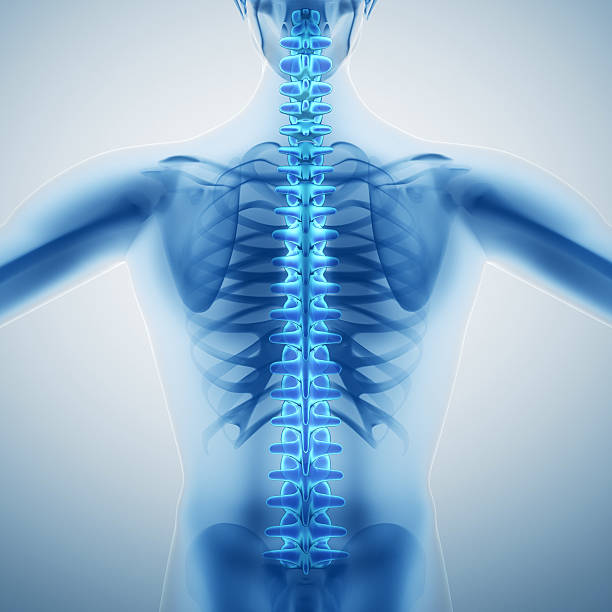 휴머니즘 백본 - human spine digitally generated image illness healthcare and medicine 뉴스 사진 이미지