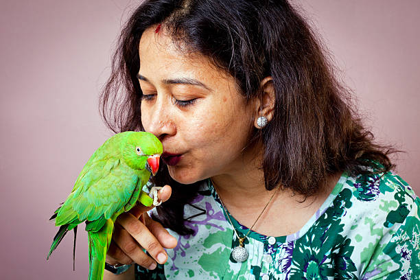 mujer india asiática con verde parrot sentado en su mano - parrot young animal human hand cute fotografías e imágenes de stock