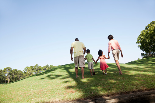 Rear view of African American family with two childen (4-5 years) holding hands, walking up a grassy hill.