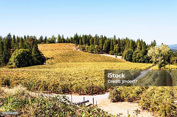 Vineyard Desde Lejos Foto de stock y más banco de imágenes de Agricultura - Agricultura, Aire libre, California del Norte