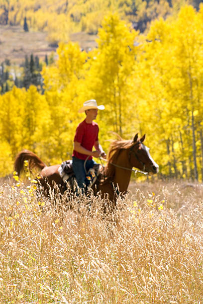 istock horseback riding landscape autumn 174945163