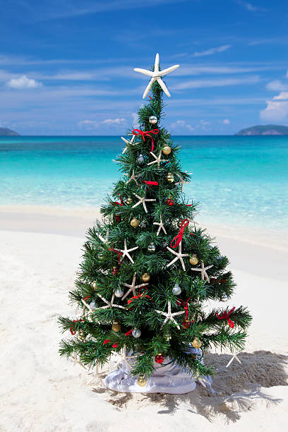 istock Christmas tree at a tropical beach in the Caribbean 174945357