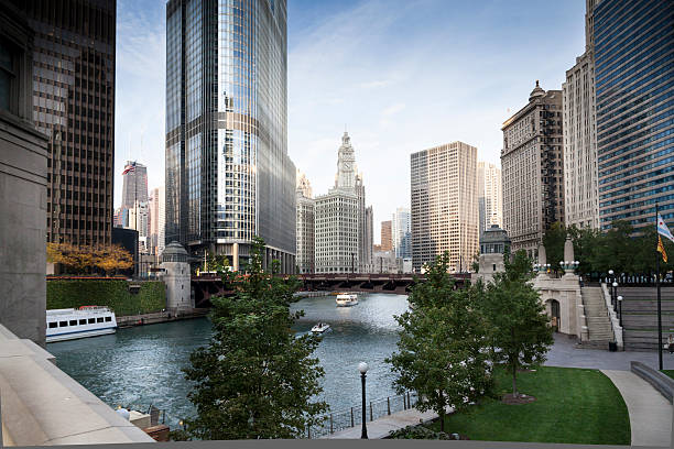 istock Chicago panorama in the summer 174945486