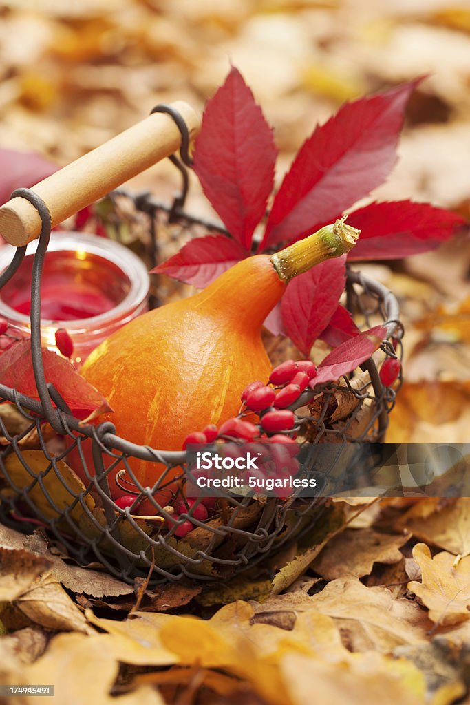 Arreglo con pumpkins y Hojas otoñales - Foto de stock de Agricultura libre de derechos