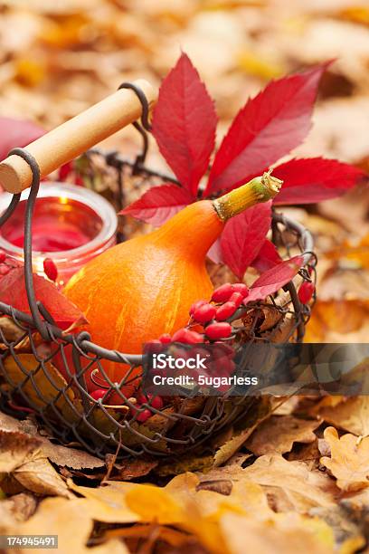 Arreglo Con Pumpkins Y Hojas Otoñales Foto de stock y más banco de imágenes de Agricultura - Agricultura, Aire libre, Alimento
