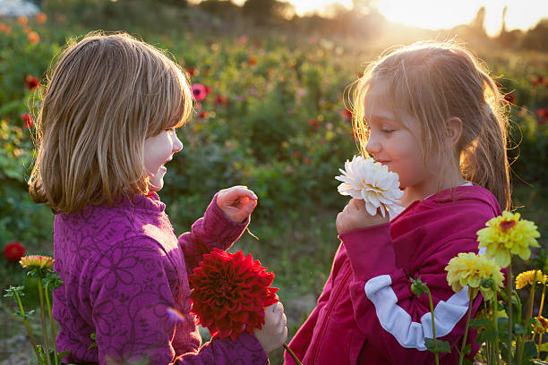 istock two cute girls in a flower field 174945517