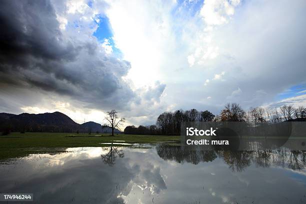 Hell Natur Nach Dem Sturm Stockfoto und mehr Bilder von Baum - Baum, Blau, Fotografie