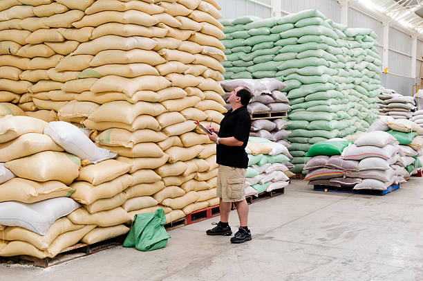 istock Supervisor taking inventory of merchandise in a modern warehouse 174946824