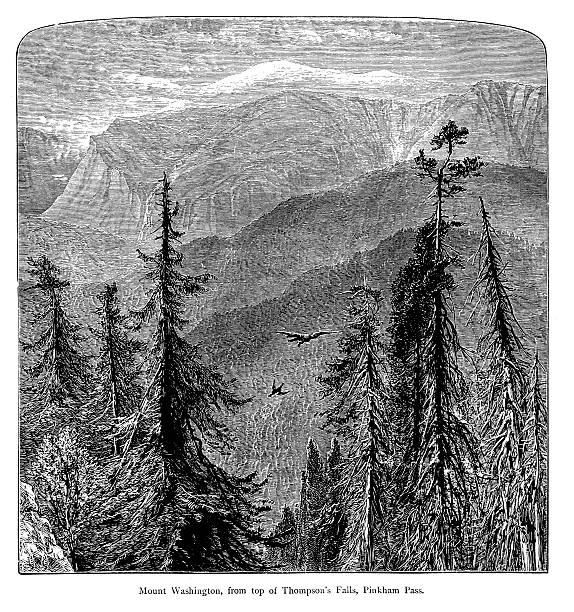 워싱턴산, 로라이마 - mount washington north new hampshire usa stock illustrations