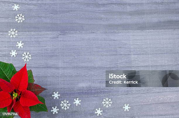 Poinsetta Dekoration Für Weihnachten Stockfoto und mehr Bilder von Baumblüte - Baumblüte, Bilderrahmen, Blume