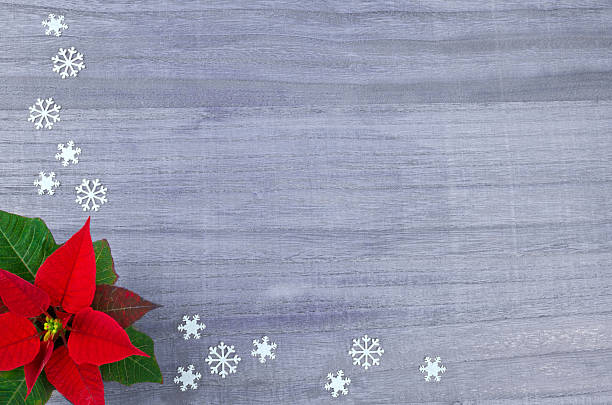 istock Poinsetta decoration for christmas 174947144