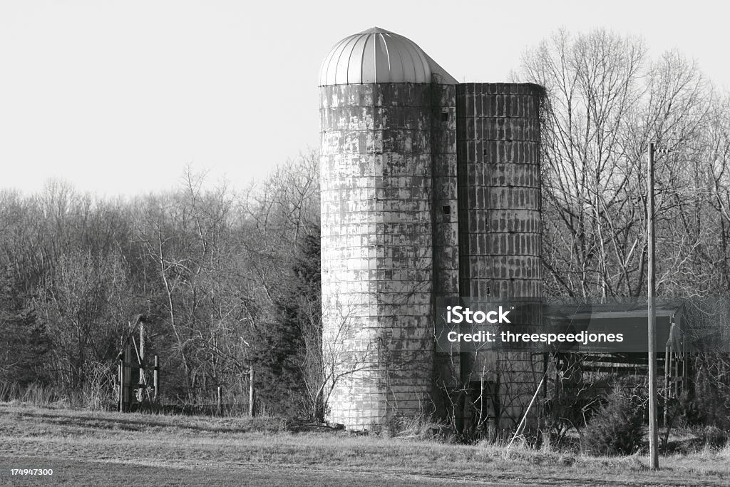 Old grano Silo - Foto de stock de Agricultura libre de derechos