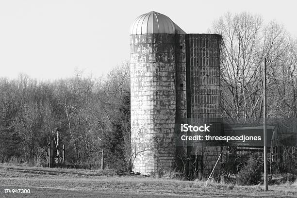 Vecchio Silo - Fotografie stock e altre immagini di Agricoltura - Agricoltura, Ambientazione esterna, Bianco e nero