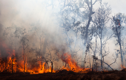 A photo showing the dangerous yet beautiful natural phenomena of bush fires in Australia.