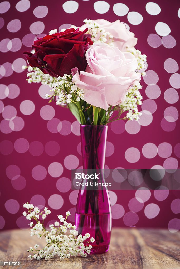 Красивые роз - Стоковые фото Без людей роялти-фри