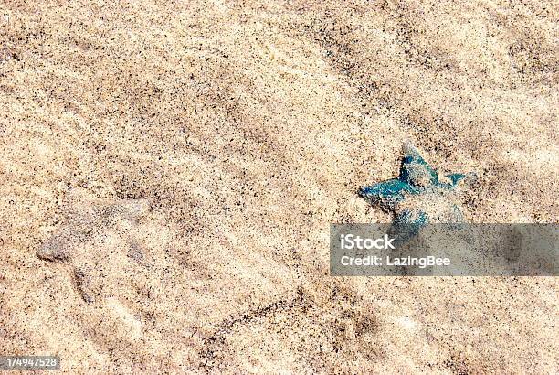 Foto de Estrela Do Mar Na Areia Asteroidea Spinulosida e mais fotos de stock de Abstrato - Abstrato, Amarelo, Areia